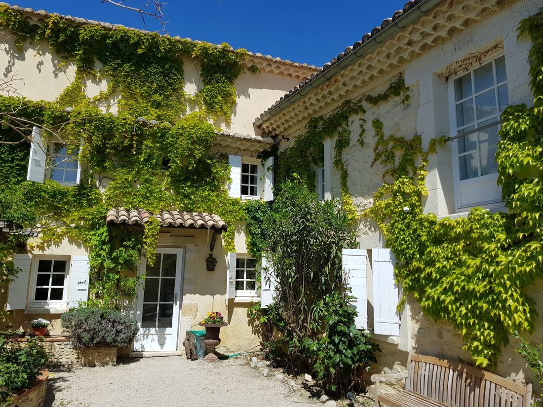 La façade du Mas des Fleurs, couverte de vigne vierge