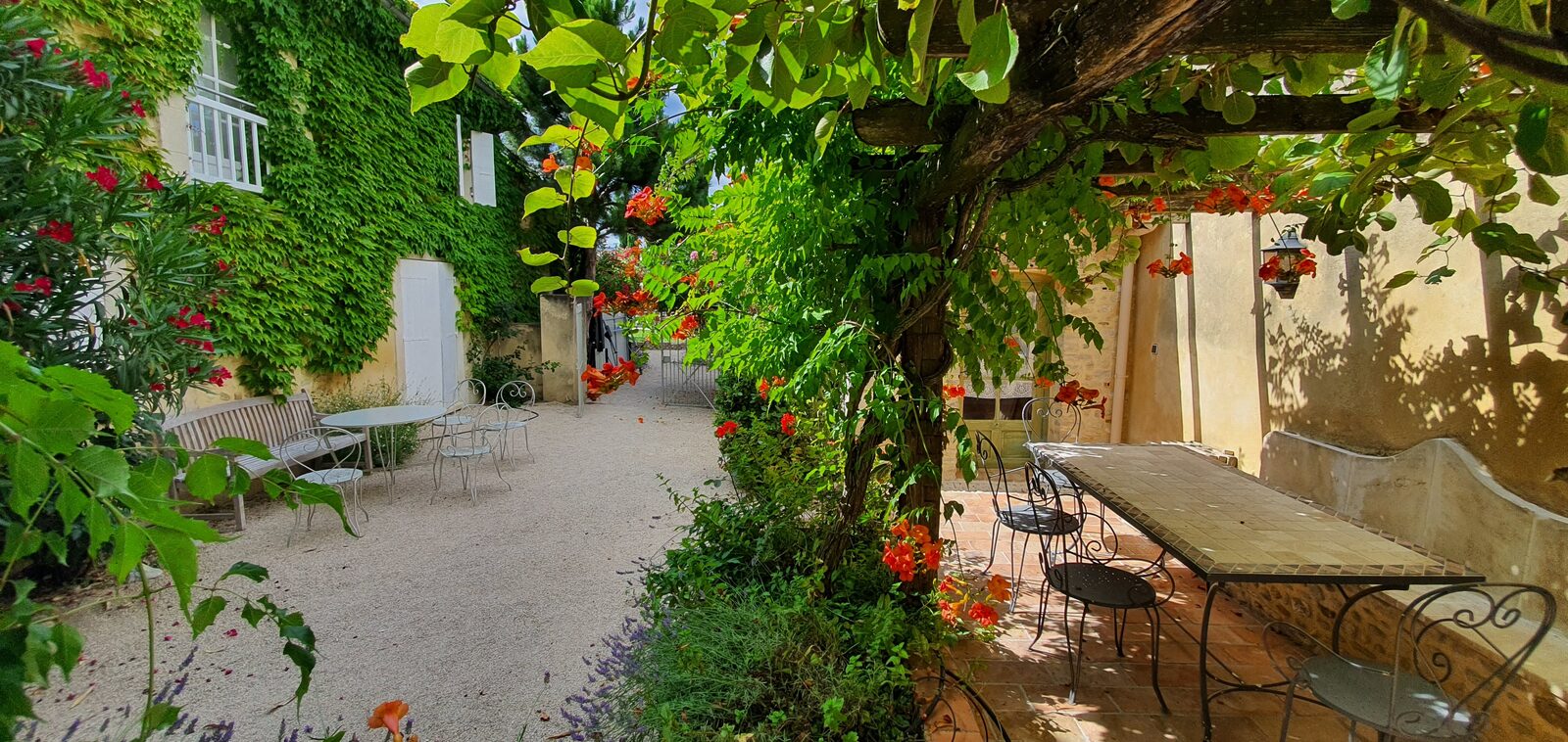 La cour intérieure ombragée par la pergola couverte de vigne